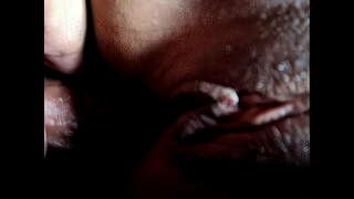 Энэ pussy болон Илжиг