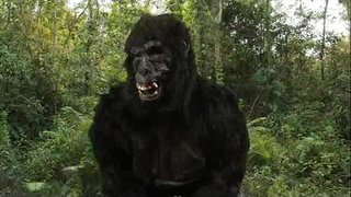 ���ජු ඩොං&amp;#039;s 40oz ගමනක්!