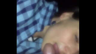 Лачокла российский