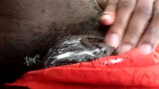 Pertama saya orangutan