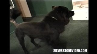 Nancy Vee Strapon Alex Deen