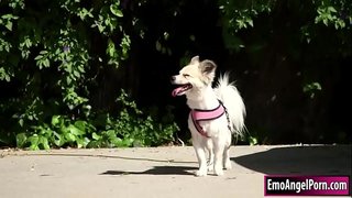 ���ूबसूरत टैटू लड़की उसे बिल्ली में कुत्ते को उसके पड़ोसियों की संपत्ति है । उसके पड़ोसी एक इनाम है,वे दूर उनके कपड़े और वह फिर गले पड़ोसियों बड़ा मुर्गा.बदले में उसके पड़ोसी उसे बिल्ली और गधे गहरी और मुश्किल है जब तक वह सह है पर उसे.